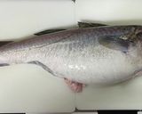鱈の昆布締め作り方1写真