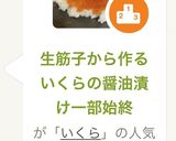 生筋子から作るいくらの醤油漬け一部始終作り方21写真