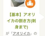 【基本】アオリイカの捌き方(刺身まで)作り方21写真