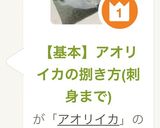 【基本】アオリイカの捌き方(刺身まで)作り方22写真
