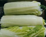 ゆでたら巻いて♪白菜のおひたし♪作り方4写真