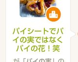 パイシートでパイの実ではなくパイの花！笑作り方10写真