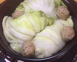 白菜のちょっと鍋☆1人鍋☆簡単^_^作り方6写真