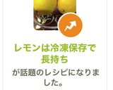 レモンは冷凍保存で長持ち作り方9写真