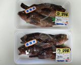 かさご の 煮つけ作り方1写真
