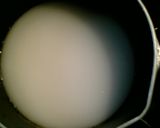 寒天くずもち風冷菓作り方1写真