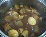 おでんリメイク！おでんカレー！お出汁香る作り方2写真