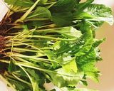 確実においしい麻婆豆腐作り方2写真