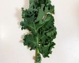 しなびたケールを復活させる方法作り方1写真