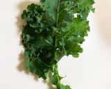 しなびたケールを復活させる方法作り方2写真