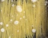 コーンスープのパスタ作り方1写真