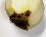 里芋の煮っころがし作り方3写真