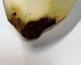里芋の煮っころがし作り方4写真