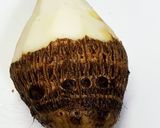 里芋の煮っころがし作り方5写真