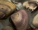 簡単♪イタリアンはまぐり作り方1写真