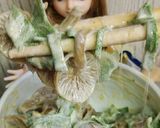 リカちゃん♡なめこアイスプラント鬼マヨ作り方10写真