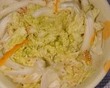 簡単白菜の和え物作り方1写真