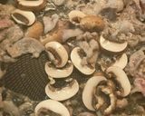 塩漬け蕪(かぶ)と豚バラのニンニク炒め作り方4写真
