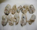 簡単！大きいカキフライの作り方作り方1写真