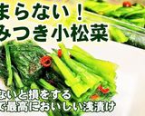 小松菜の浅漬け/作り置き常備菜/野沢菜作り方6写真