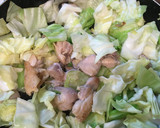 鶏もも肉とキャベツのトマト煮込み♡簡単☆作り方2写真