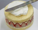 フレジエ作り方25写真