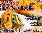 やみつき痺辛大根！作り置き常備菜保存食作り方4写真