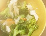 レンジ胸肉ブロッコリー塩炒め味青椒肉絲風作り方16写真
