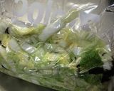 白菜のニンニク浅漬け作り方4写真
