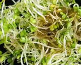 毎日の納豆●スプラウト＆玉葱ドレッシング作り方1写真