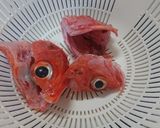 キンキの塩焼きとお吸い物作り方3写真