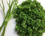 50℃洗い☘️映える我が家の冷凍パセリ作り方2写真