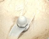 【隠し味に使える】カニ殻パウダーの作り方作り方5写真