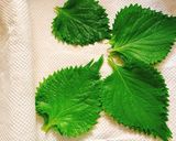 えごま・青しその葉キムチ作り方1写真