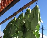 小松菜干してのサバ缶いため作り方1写真