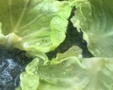 ロールキャベツコンソメ風味作り方3写真
