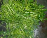 ツナと豆苗の卵炒め作り方5写真