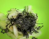 簡単おつまみ☆お弁当にもセロリ塩昆布和え作り方1写真