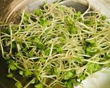 毎日の納豆●スプラウト＆レタスのサラダ風作り方1写真