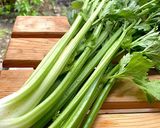セロリとわさび菜の浅漬け作り方1写真
