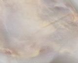 鶏もも塩焼!皮パリパリ、肉コリコリ!作り方2写真