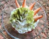 クリスマスにも使える!ミニデコプリン作り方11写真