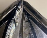 美味しい秋刀魚の見分け方&焼き方作り方1写真