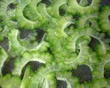 ゴーヤの海苔和え作り方5写真