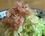 体のリセット♡無限に食べられる白菜サラダ作り方1写真