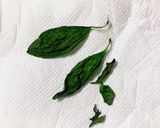 平日でも気にせず食べようさっぱり餃子！作り方1写真