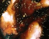 手羽元焼き作り方1写真