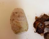 里芋のねぎ味噌和え作り方3写真