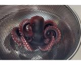 たこの下処理★動画あり★作り方22写真