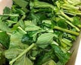 簡単！＊御殿場名物　無添加水かけ菜漬け作り方1写真